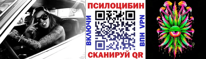 как найти   блэк спрут tor  Галлюциногенные грибы Psilocybine cubensis  Истра 